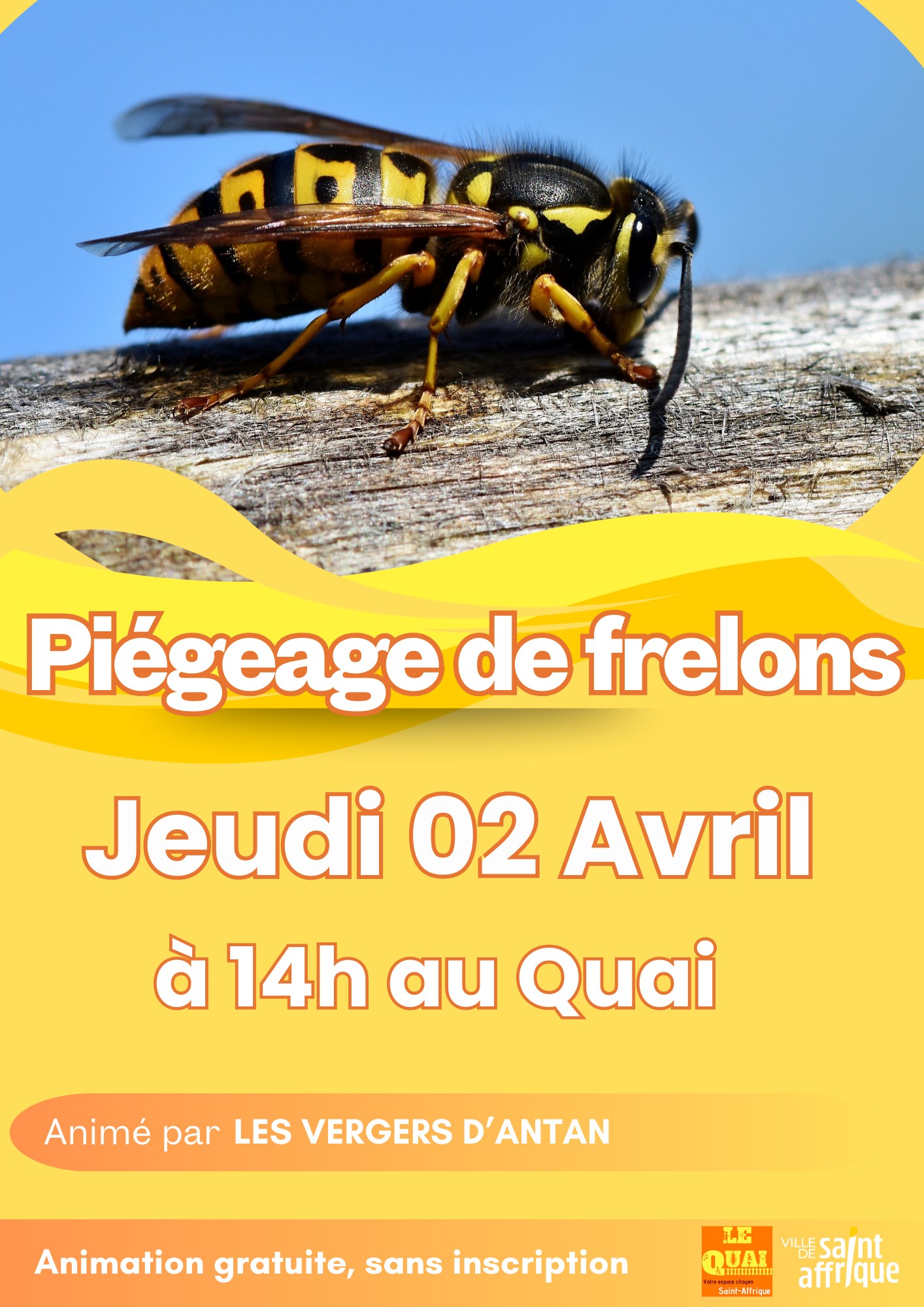 Piégeage des frelons asiatiques