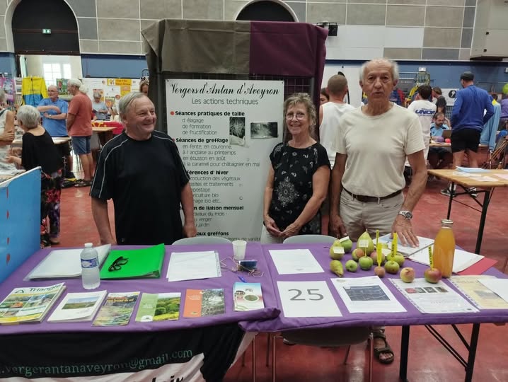 Forum des associations